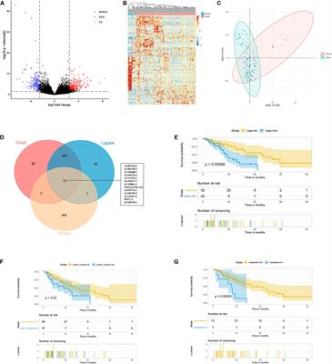 lncRNA Profiles Enable Prognosis Prediction and Subtyping for Esophageal Squamous Cell Carcinoma